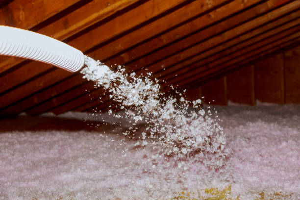 Best Insulation Installation Services in Ronceverte, WV