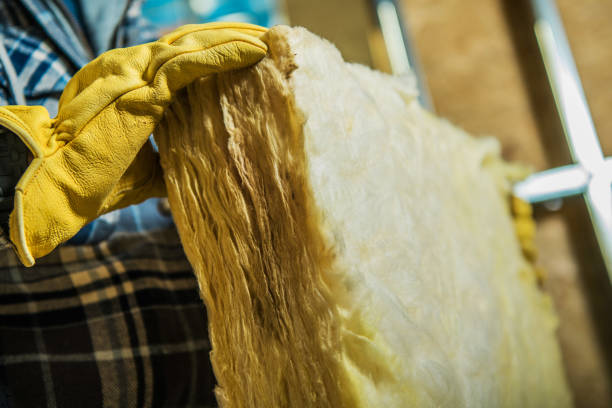 Best Insulation Maintenance and Repair in Ronceverte, WV