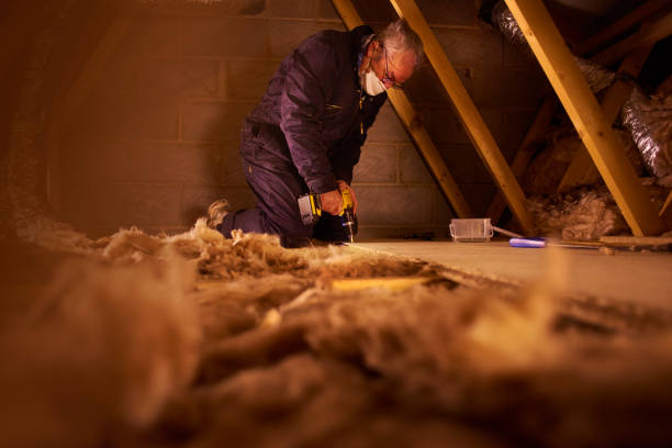 Best Types of Insulation in Ronceverte, WV